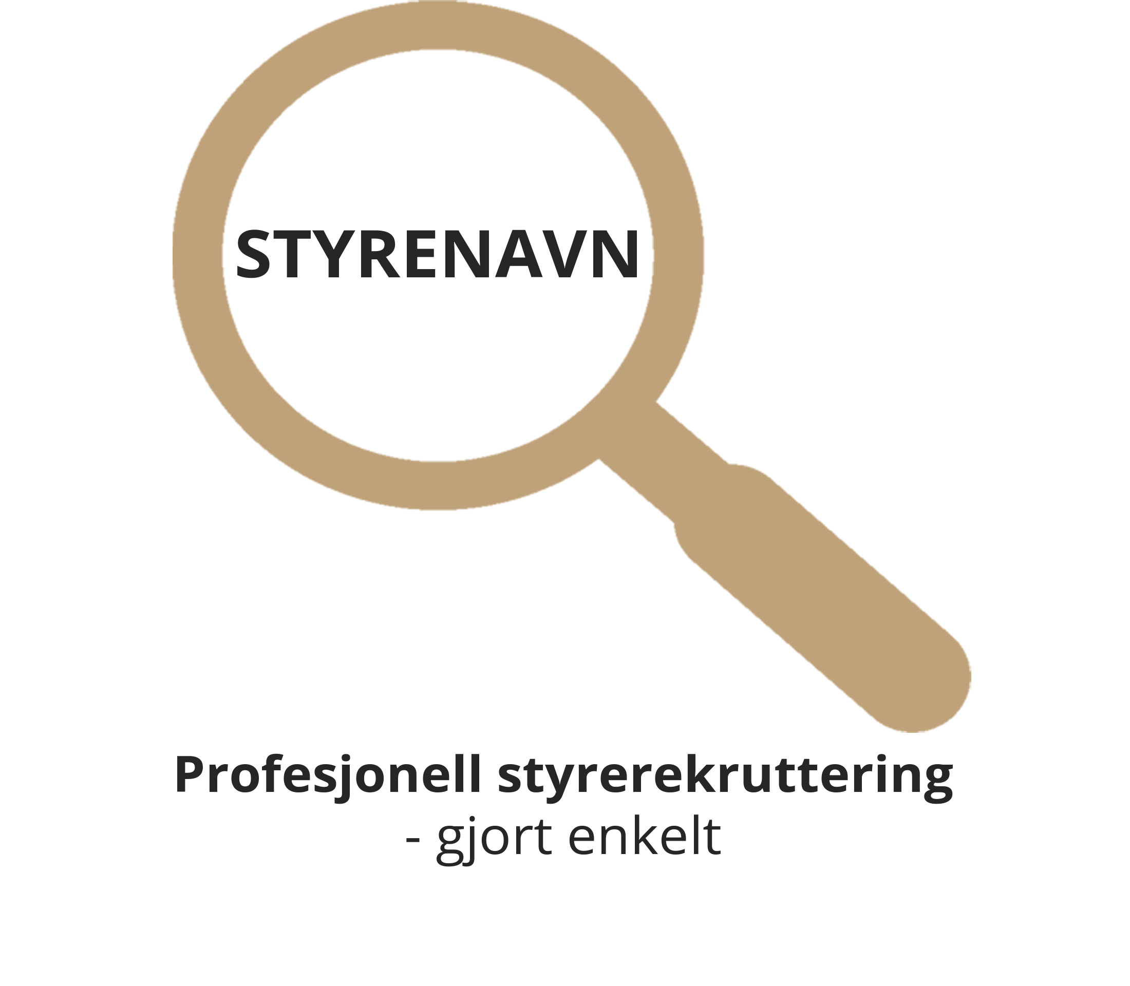 Logo www.styrenavn.no