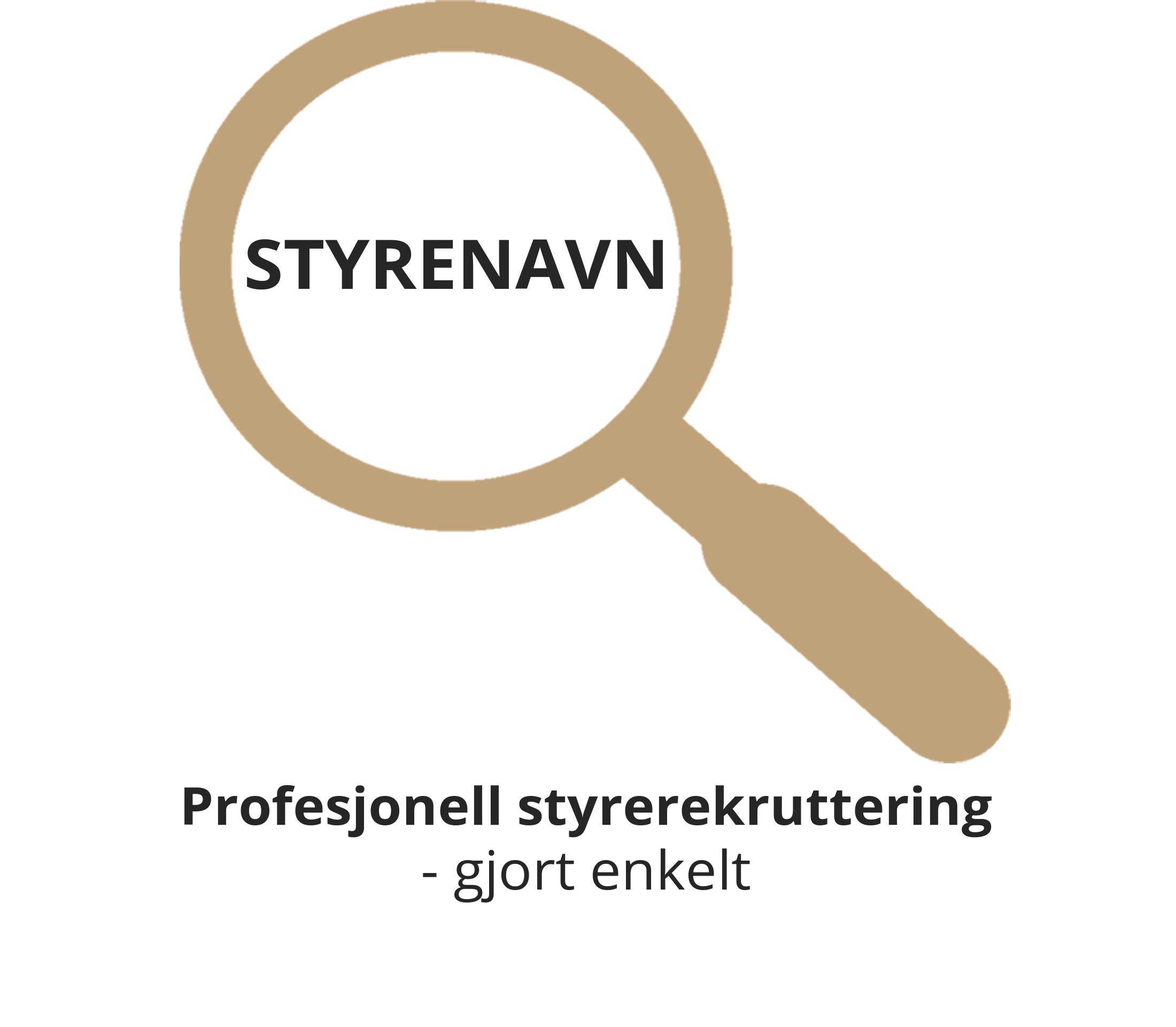 Profesjonell styrerekruttering